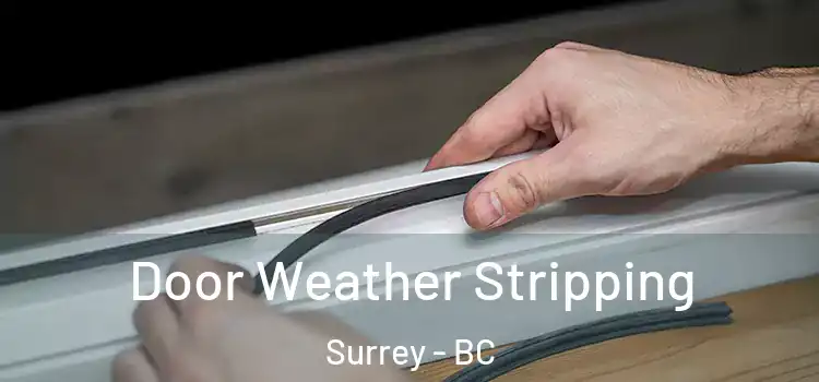 Door Weather Stripping Surrey - BC