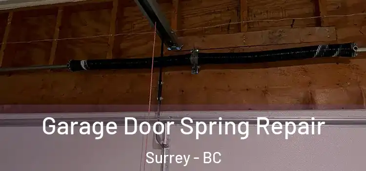  Garage Door Spring Repair Surrey - BC