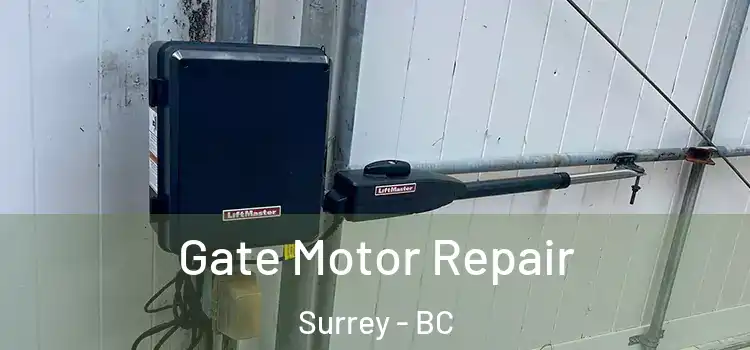 Gate Motor Repair Surrey - BC
