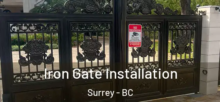 Iron Gate Installation Surrey - BC