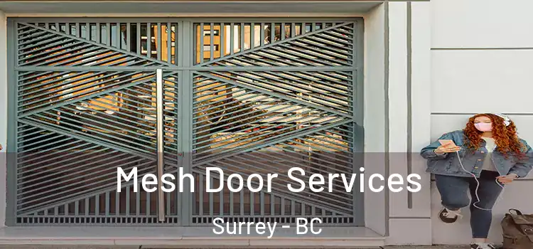 Mesh Door Services Surrey - BC