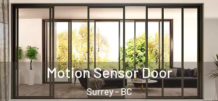  Motion Sensor Door Surrey - BC