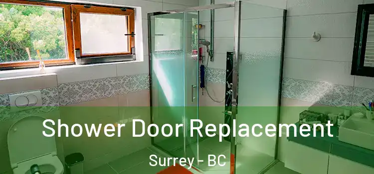 Shower Door Replacement Surrey - BC